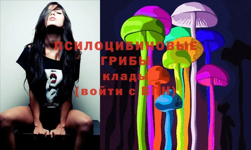 Галлюциногенные грибы MAGIC MUSHROOMS  цены   гидра как войти  Зарайск 